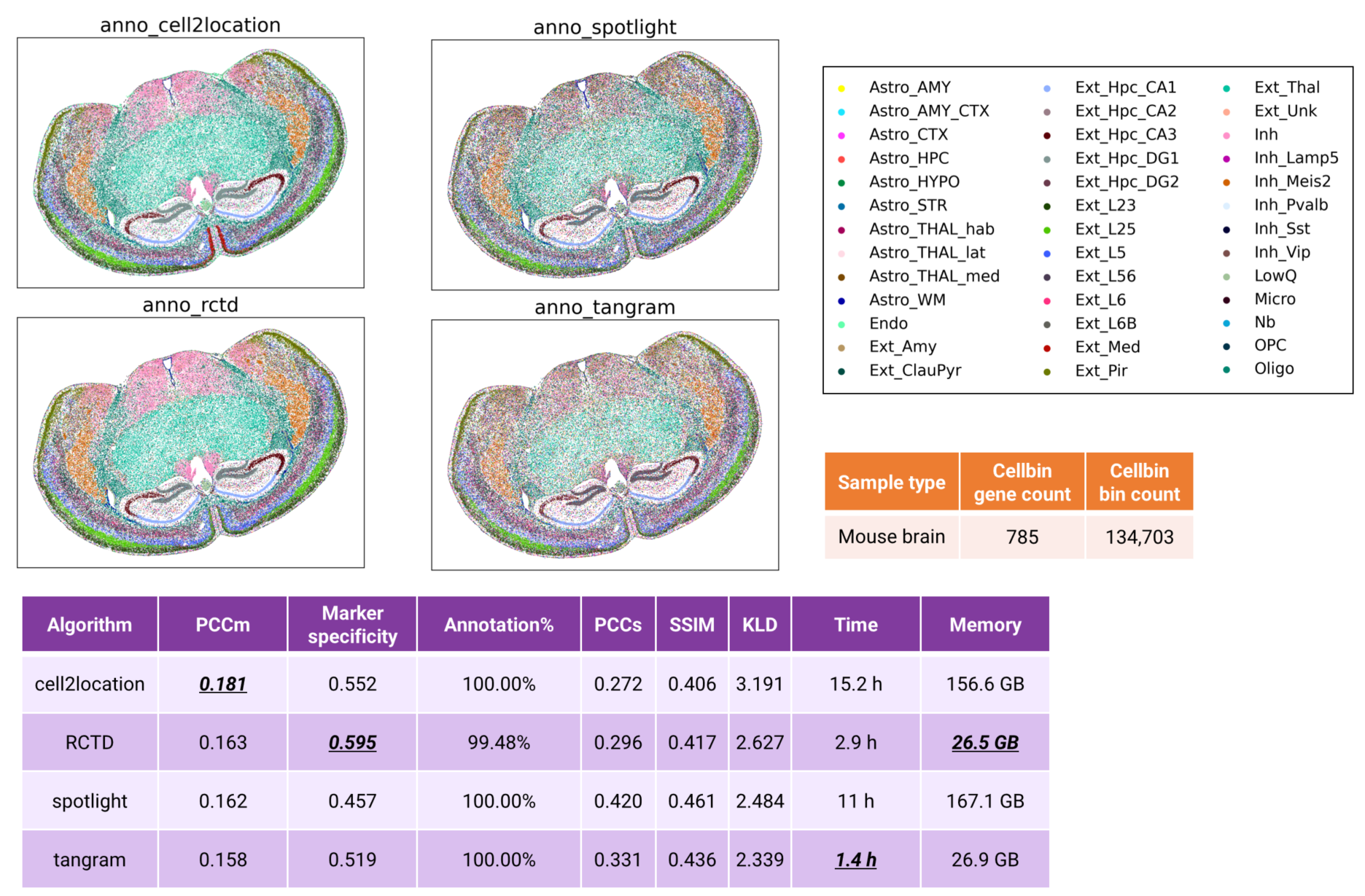 Figure 7 Cell type annotation of mouse brain cellbin data